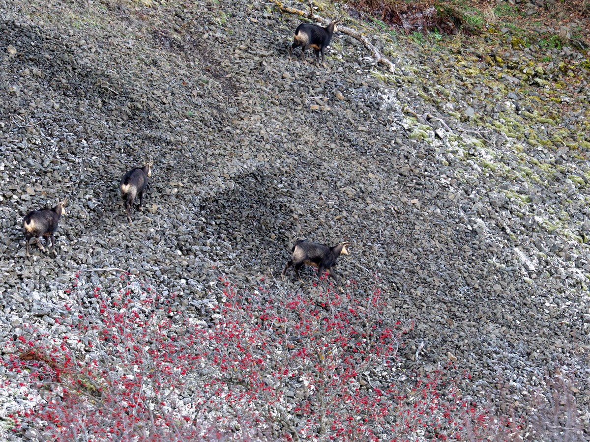 01122025-01 12 25 (3).jpg